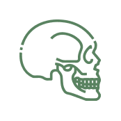 Ícone Malformação  craniofacial
